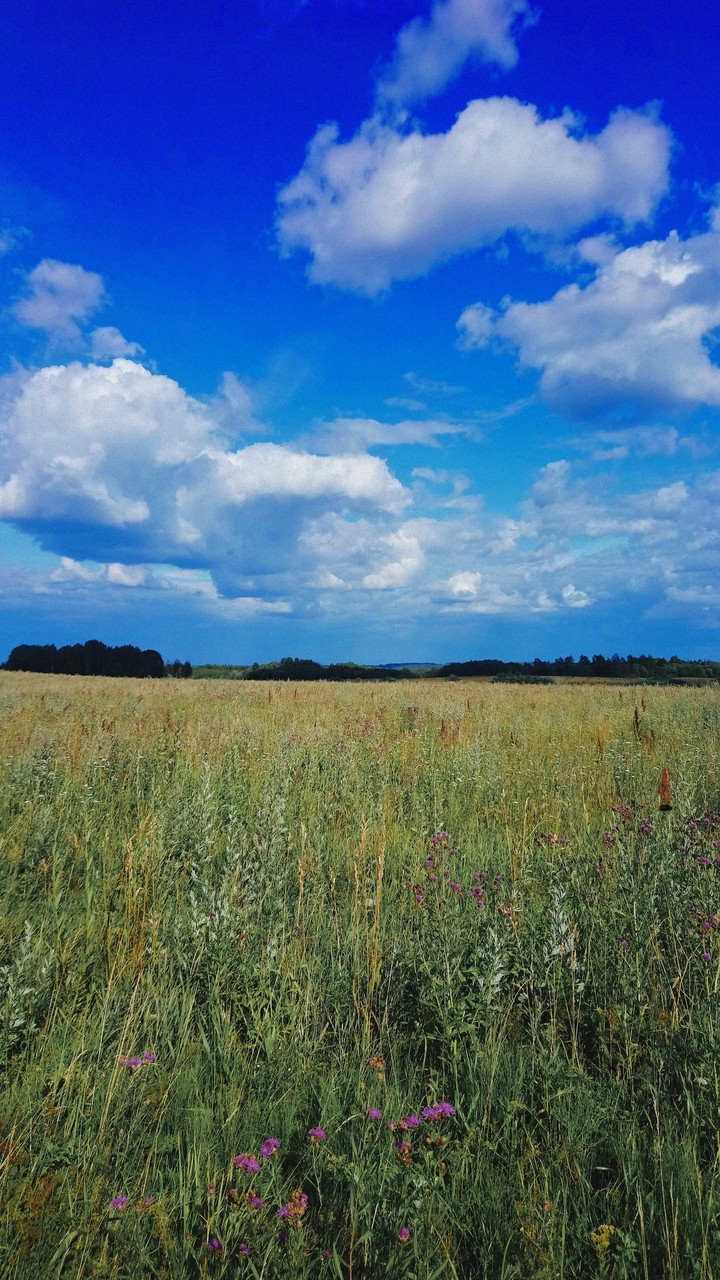 Lost in Latvian countryside.