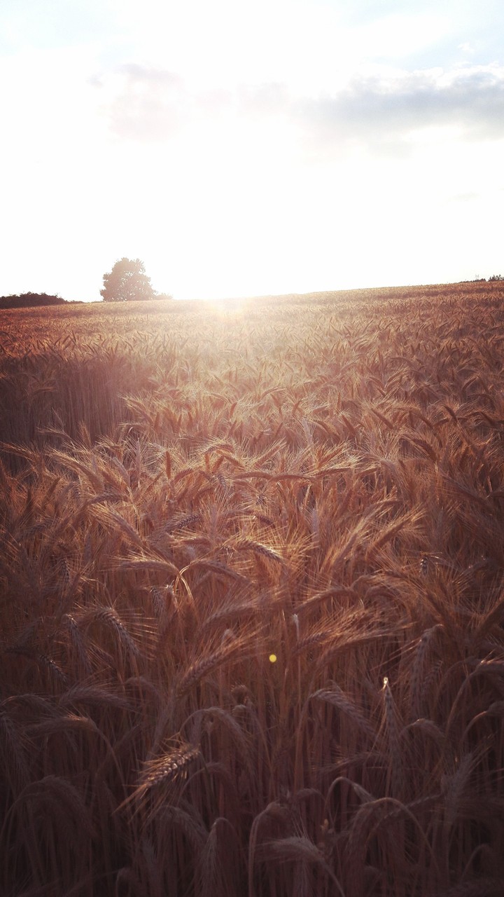 Sunset ♡