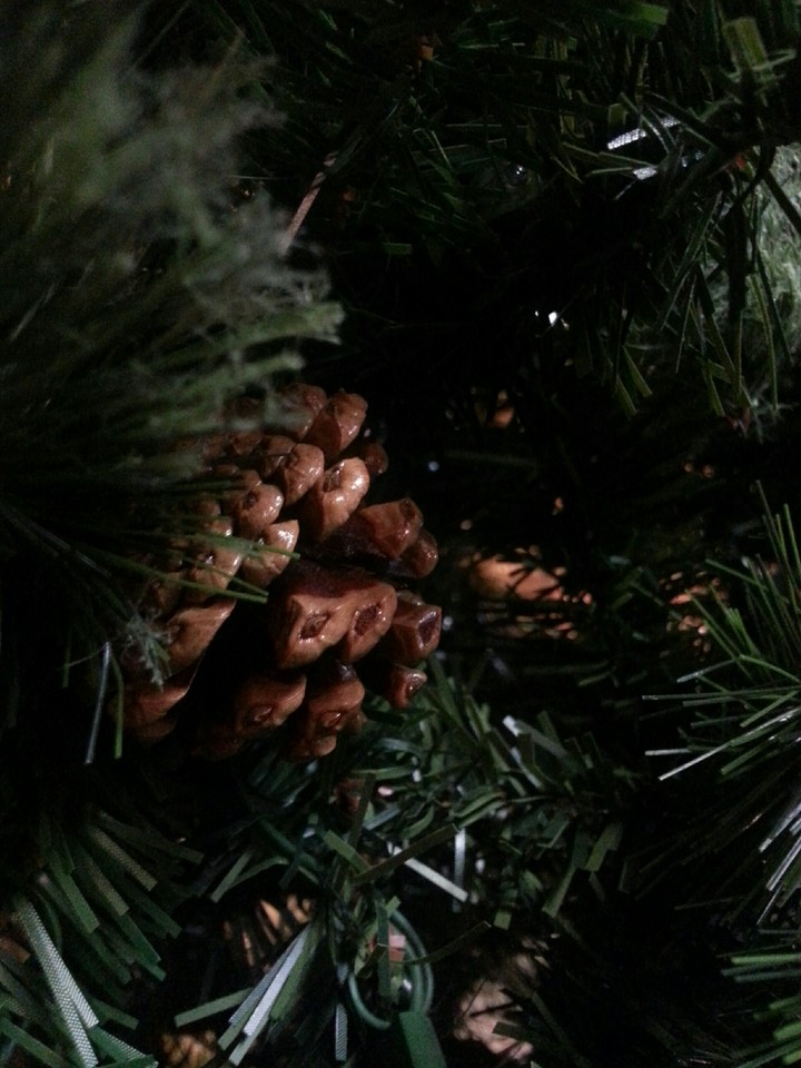 christmas pinecone