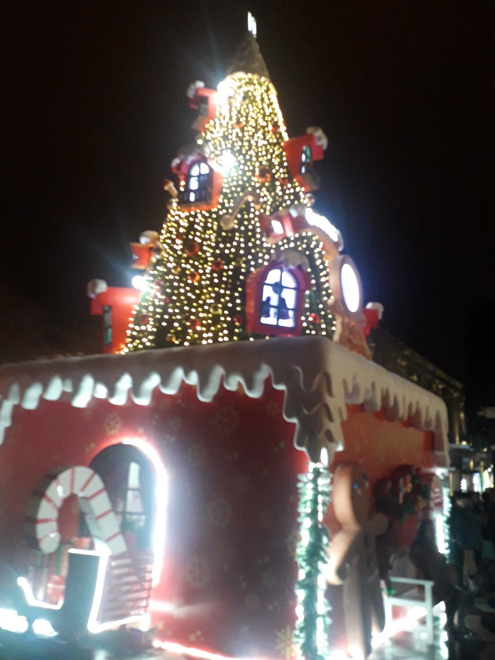 Christmast holidey