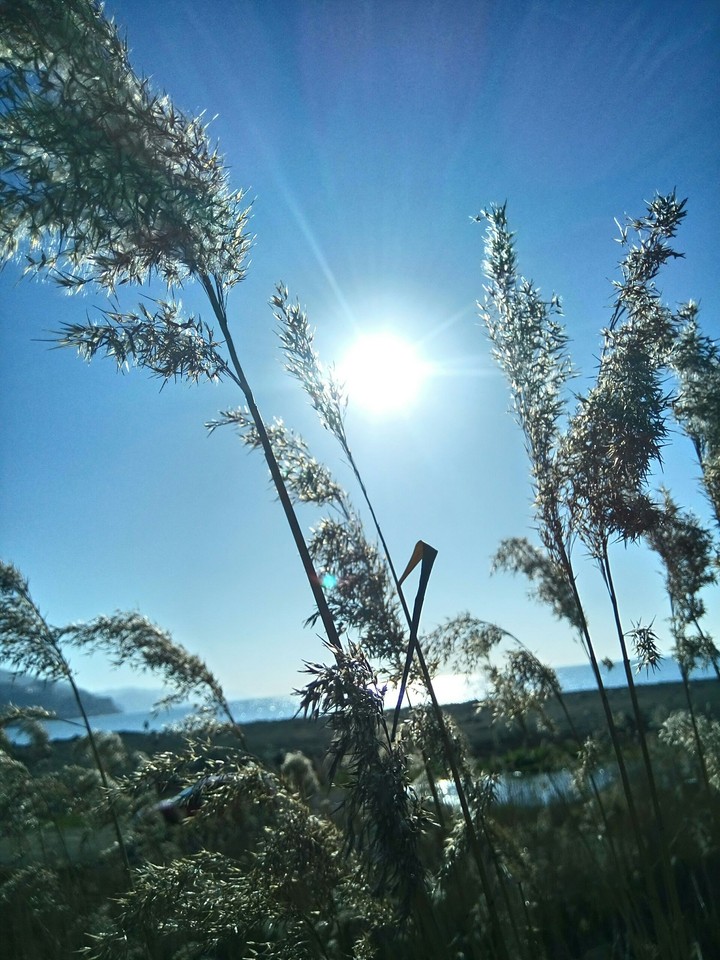 sun