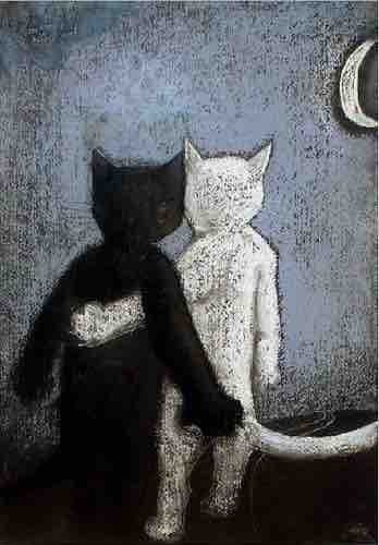cat