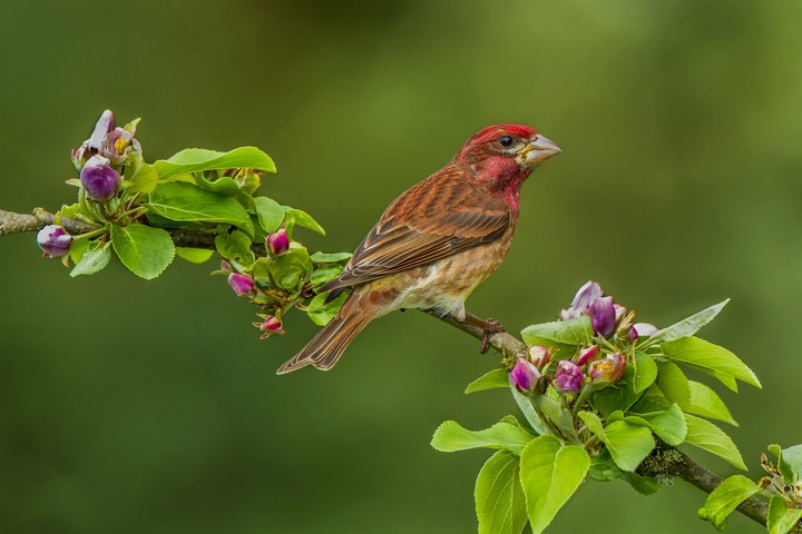 Nature's Beauty