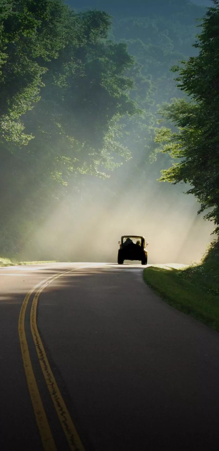 travelling jungle
