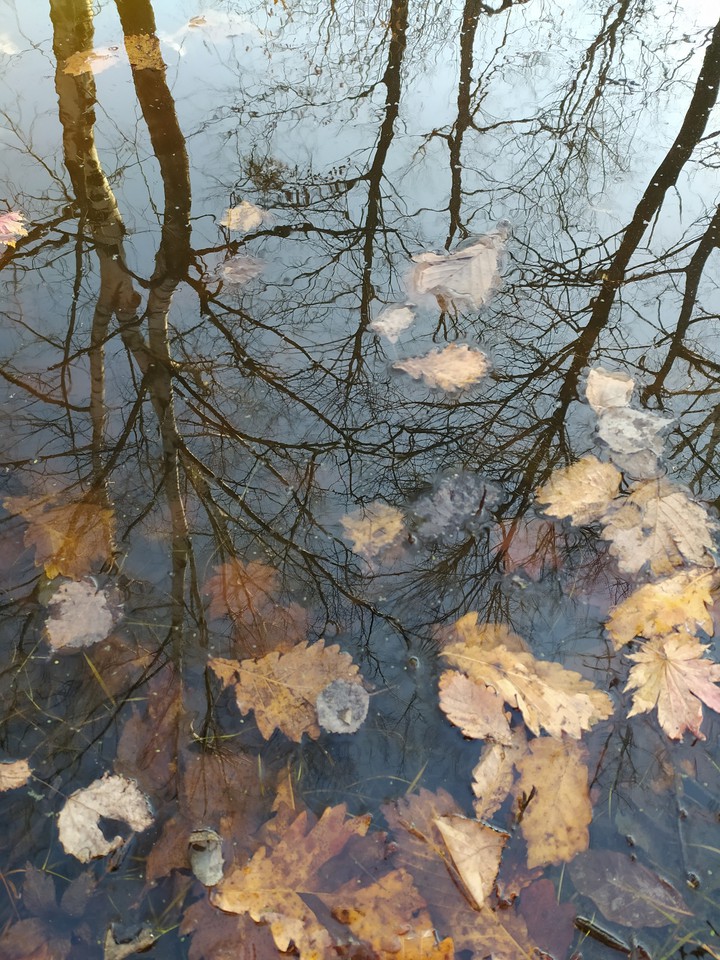 November