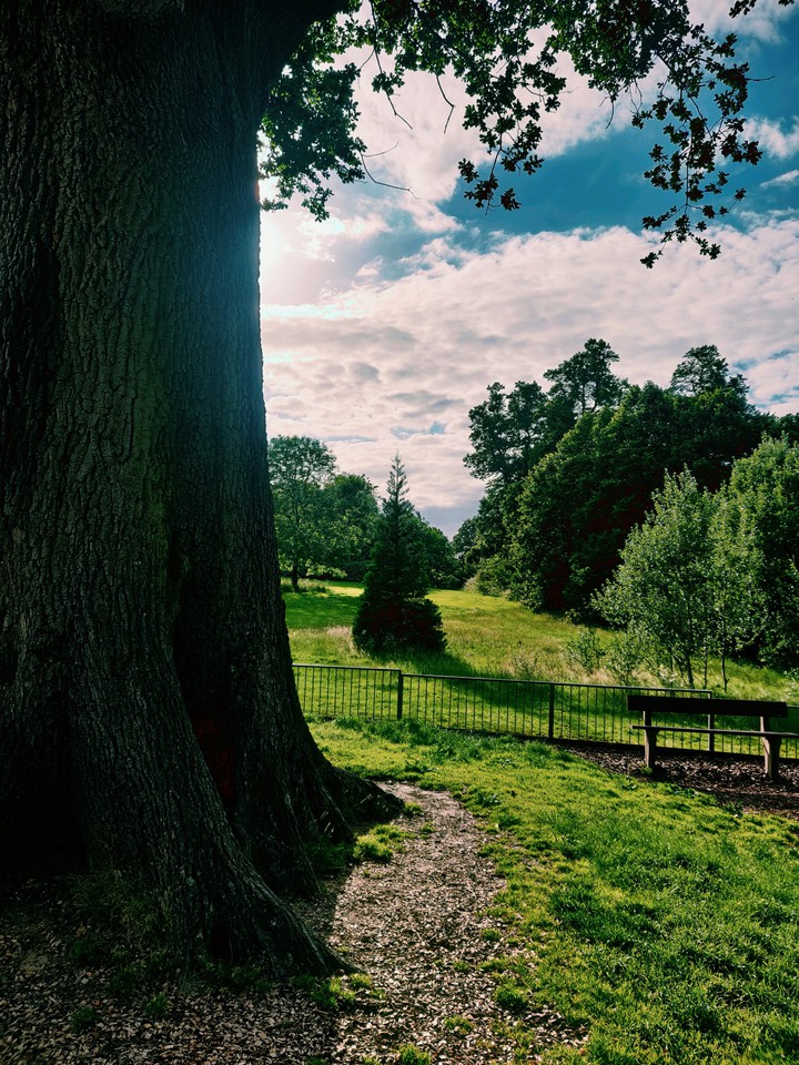 Nature