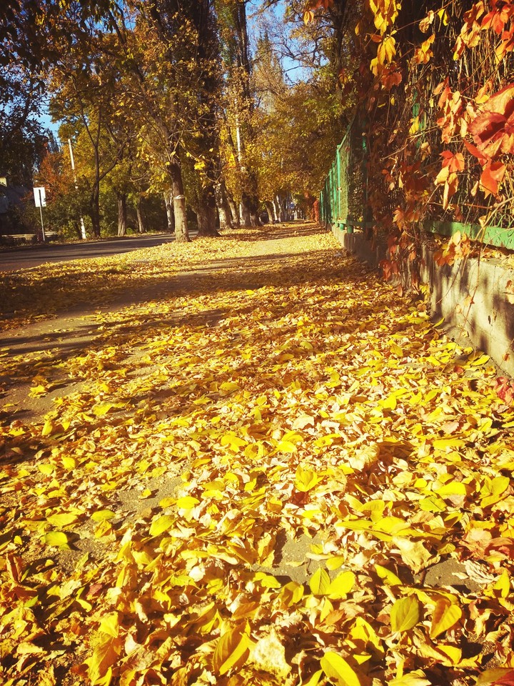 осень...