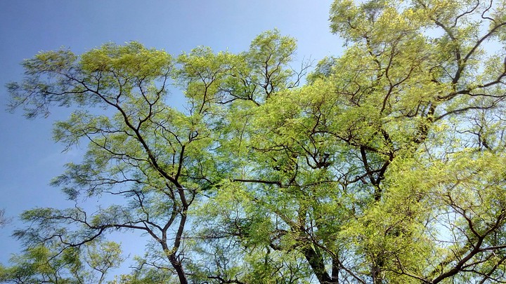sunny day