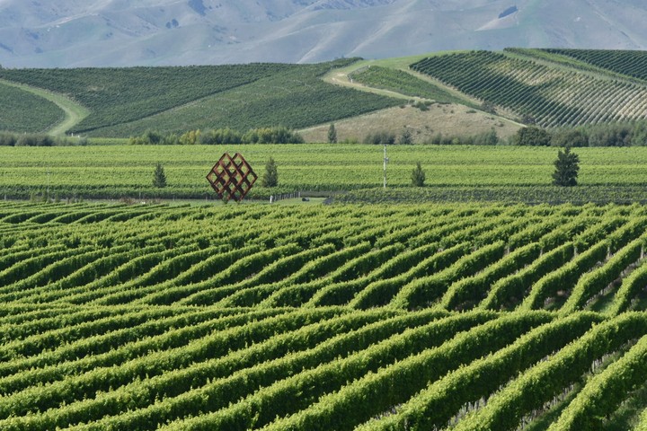 View from top of Vineyard