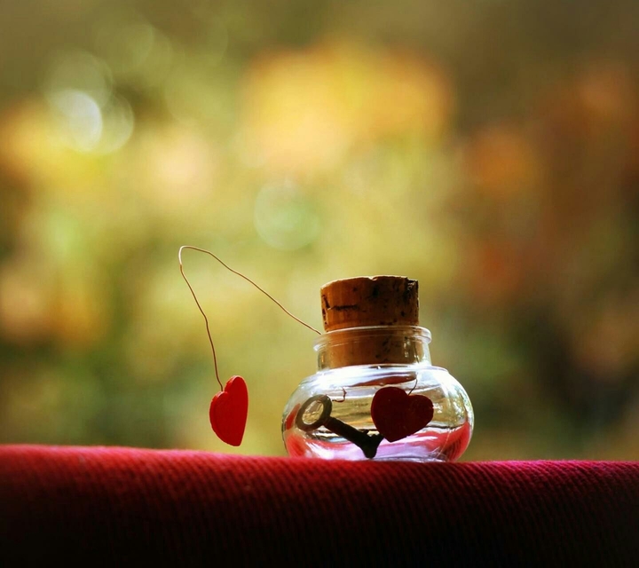 love