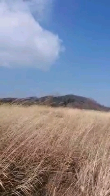 The wind I met on Dulle-gil road, Incheon, South Korea