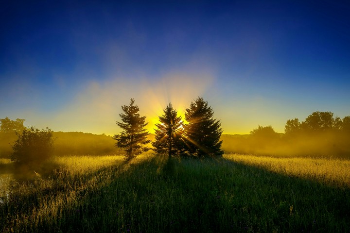 Sunlight