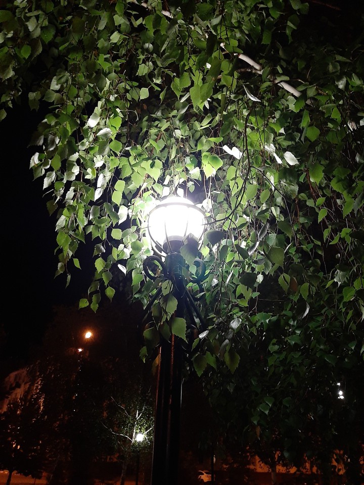 green light