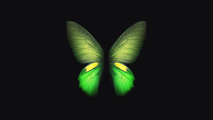 Fold Green Butterfly Stock 4K