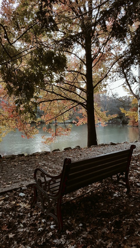 Tranquility