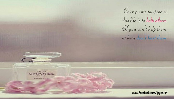 Quotes