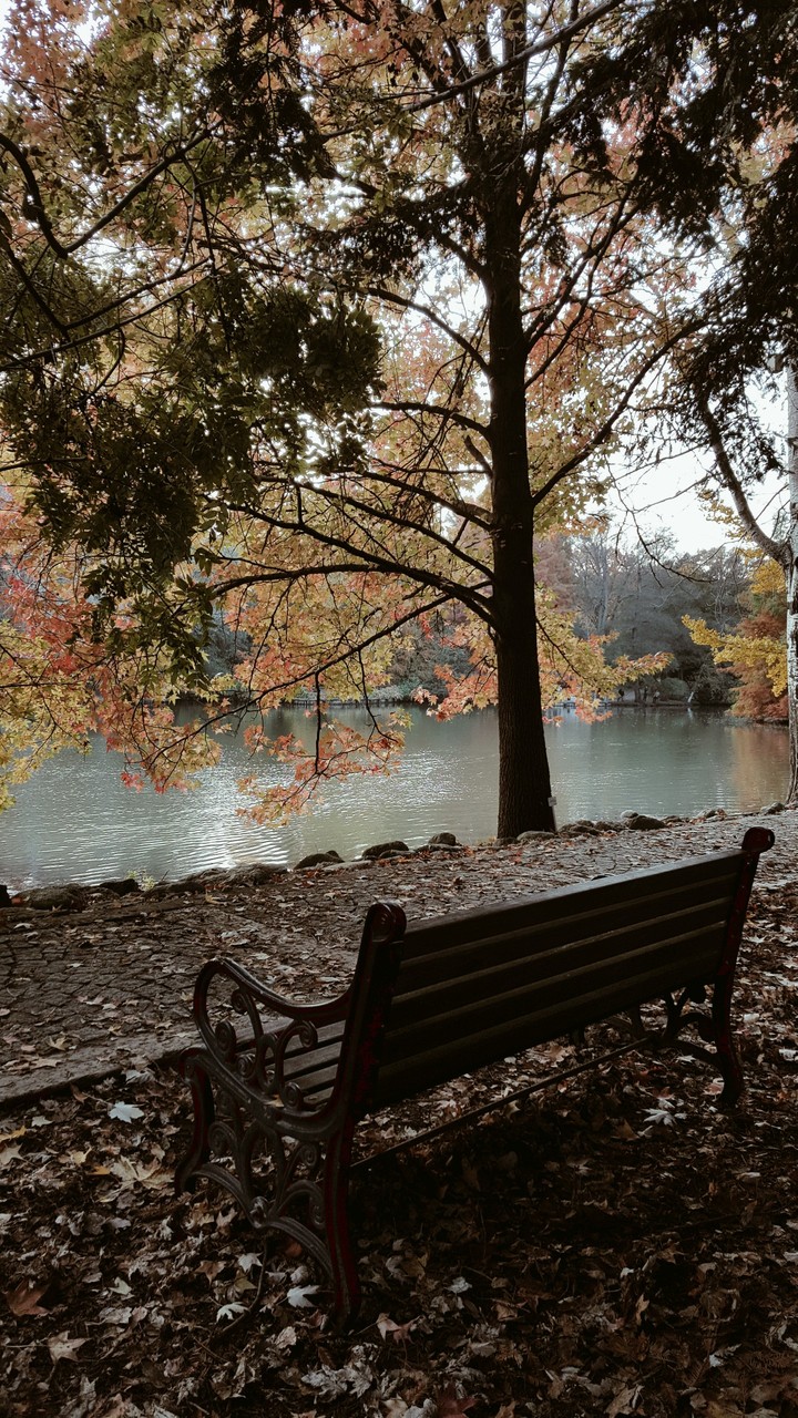 Tranquility