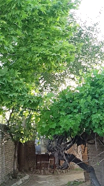 village