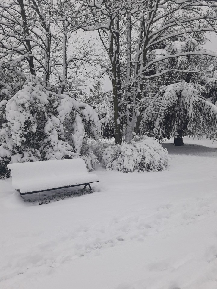 L'hiver