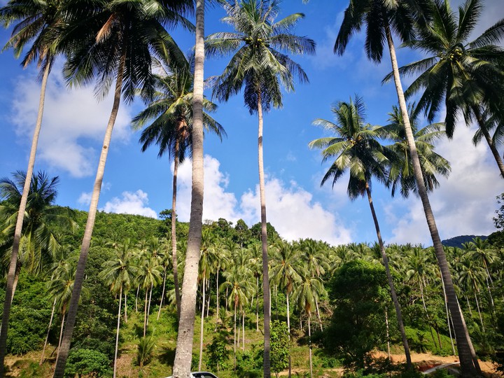 Nakhonsithammarat, Thailand