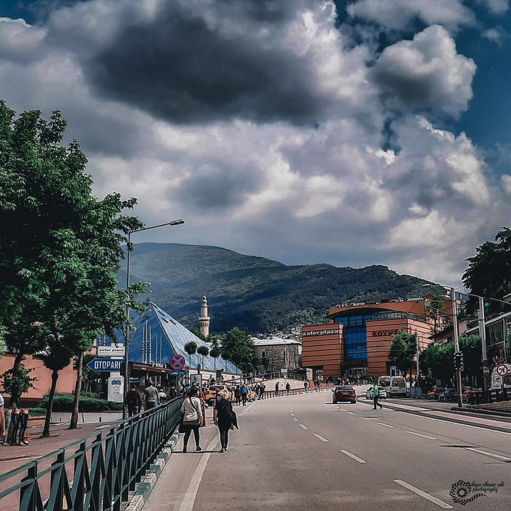 bursa