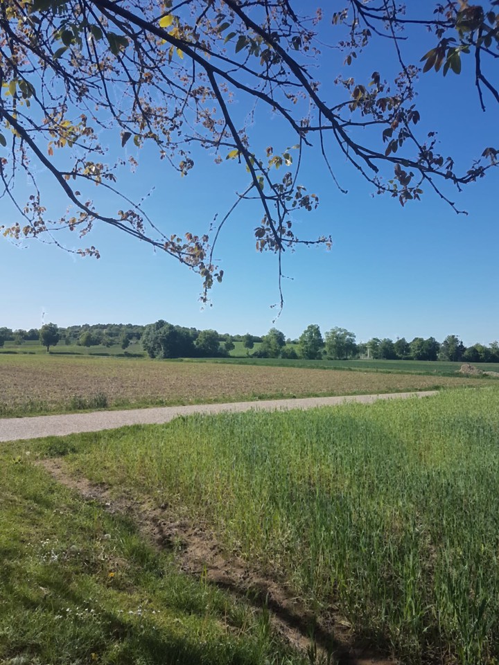 dirt road