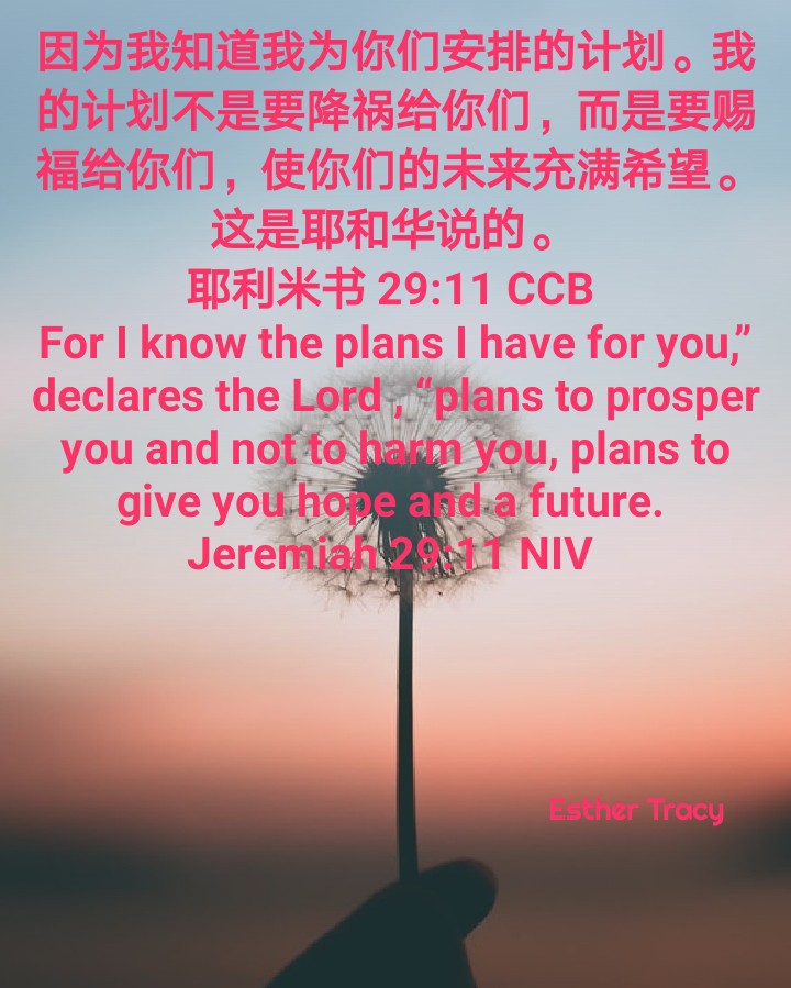 plans to give you hope and a future....