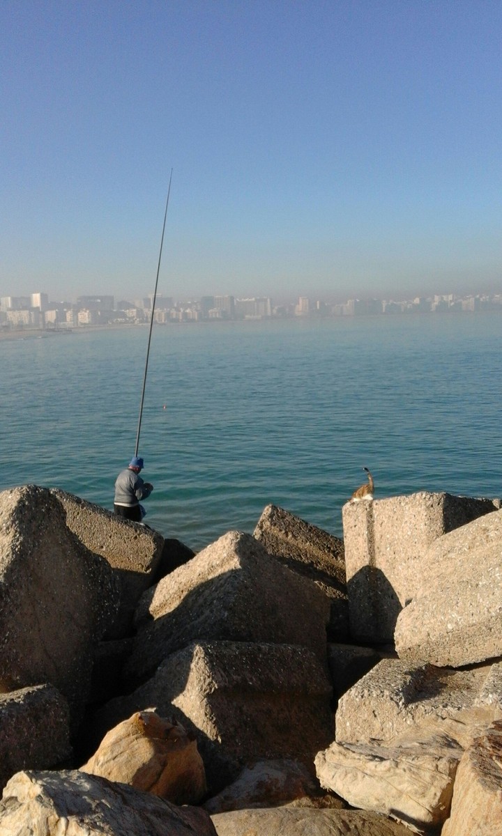 morning fishing