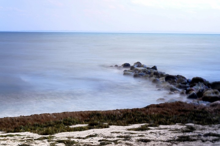 seafog
