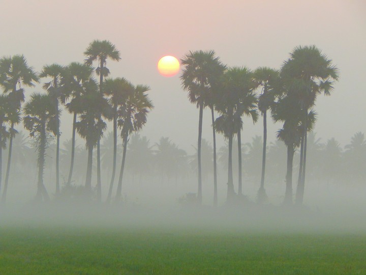 #Morning #Sunset #Awesome #Click