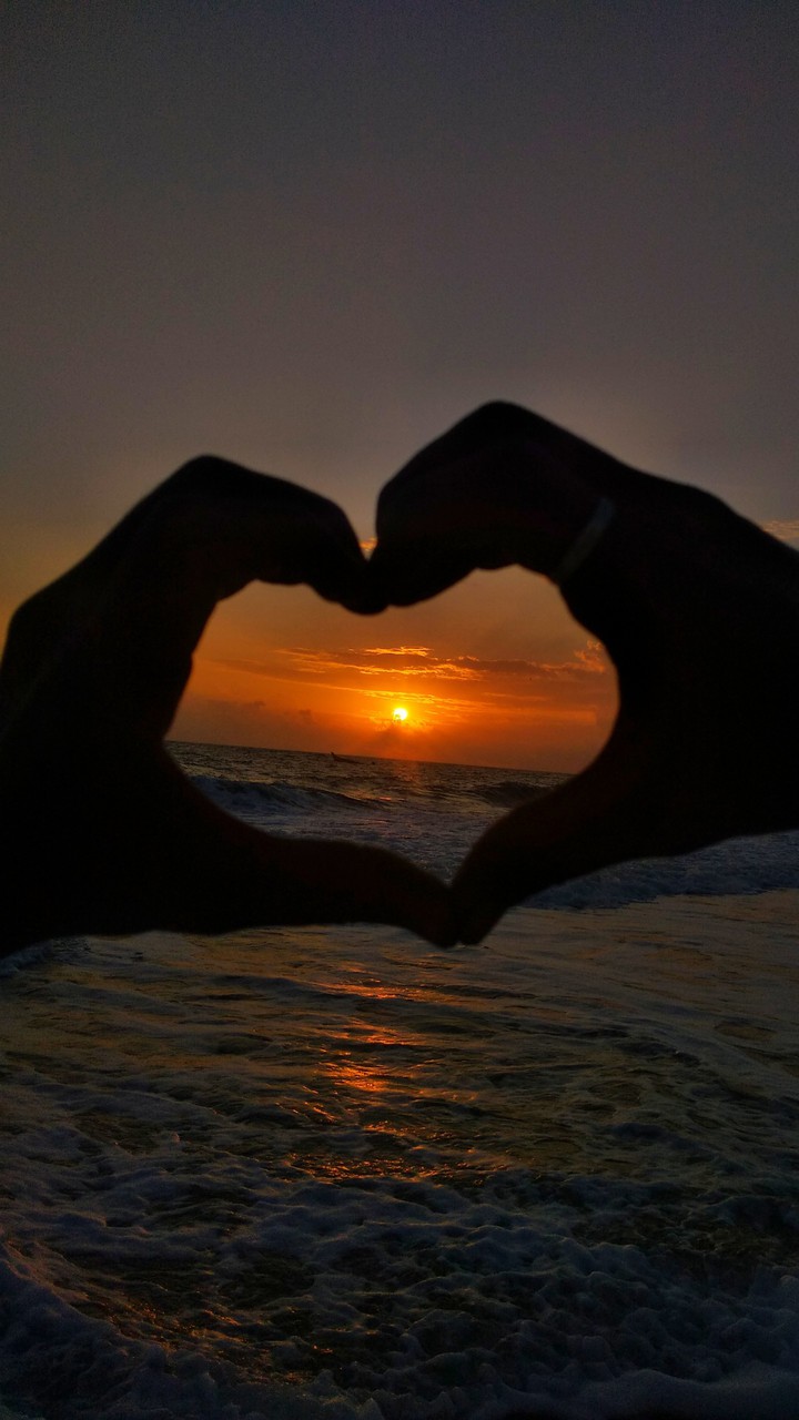 heart