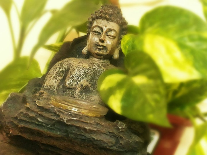 buddha