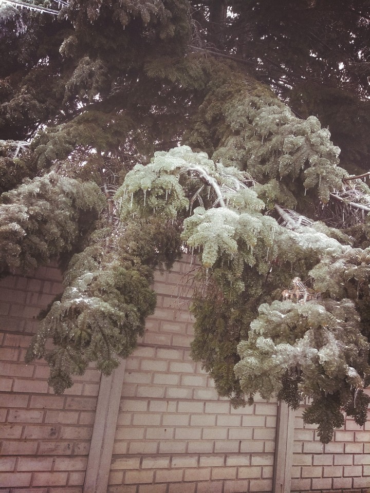 Winter in Bucharest