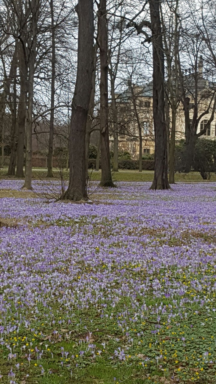 Frühlingsanfang