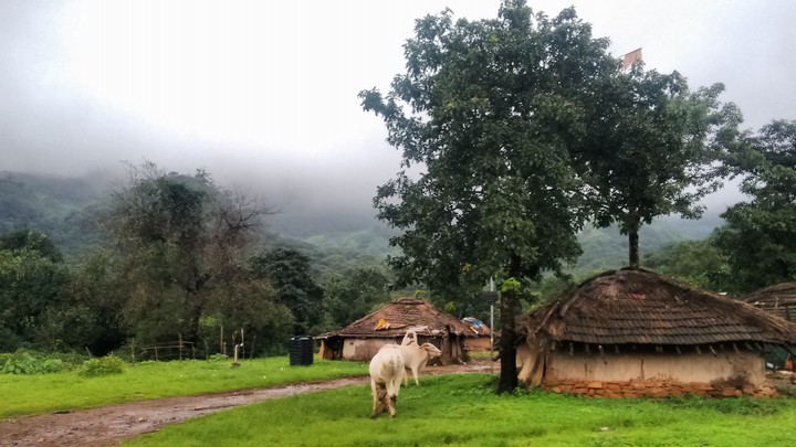 निसर्ग