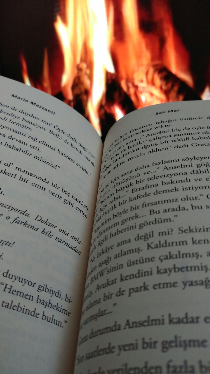 fireplace and read the book