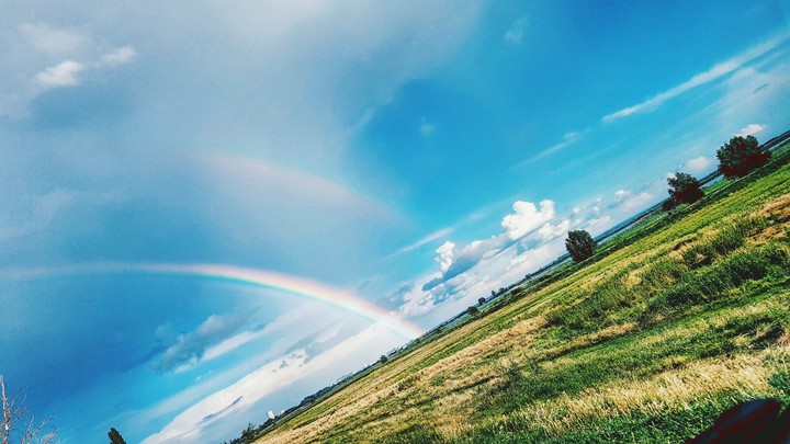 Rainbow