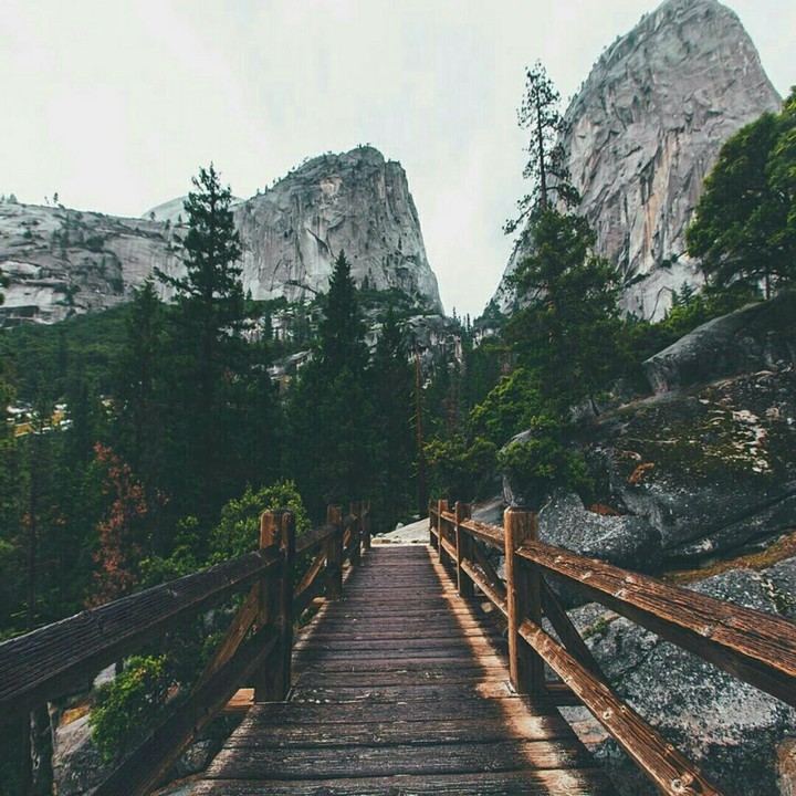Bridge