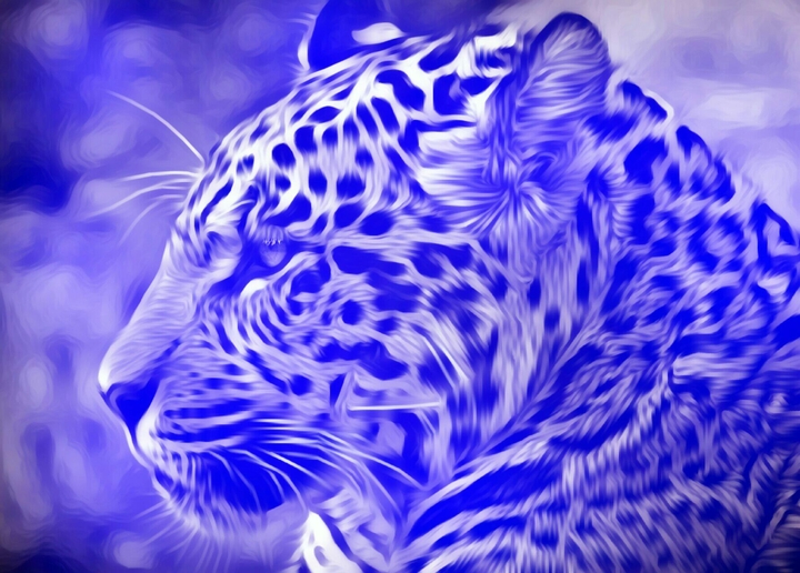 Leopard