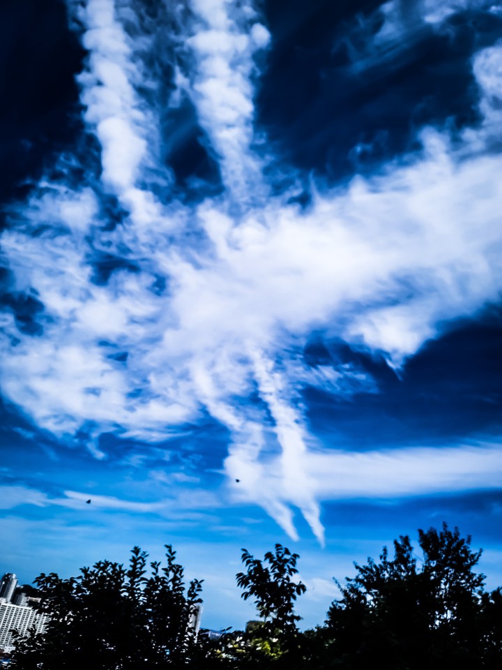 캠트레일(chemtrail)