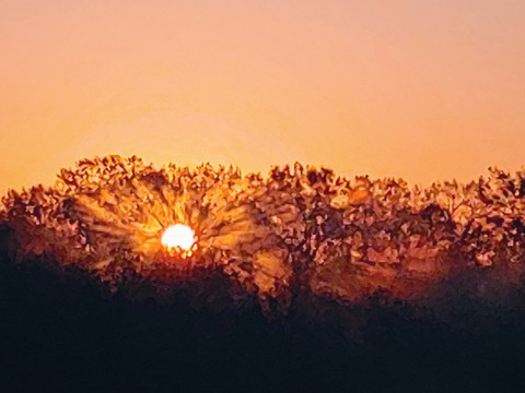 Friday's Sunrise ❤ This is my favorite