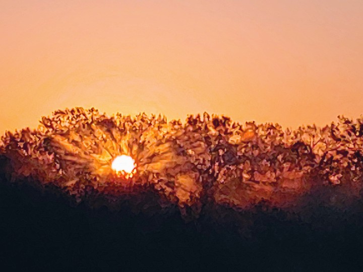 Friday's Sunrise ❤ This is my favorite
