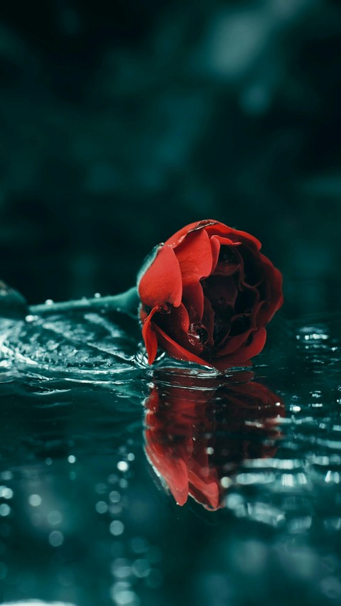 With Love, For You ... ❤️