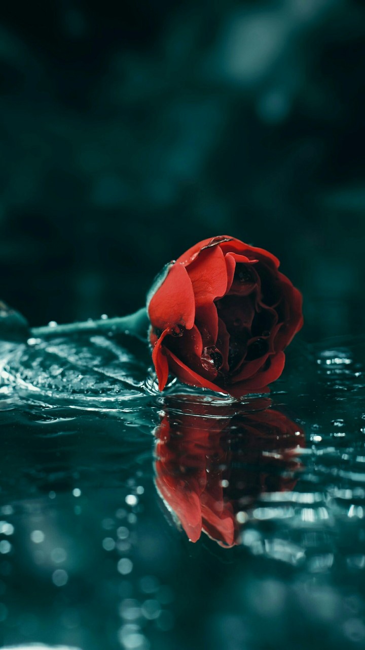With Love, For You ... ❤️