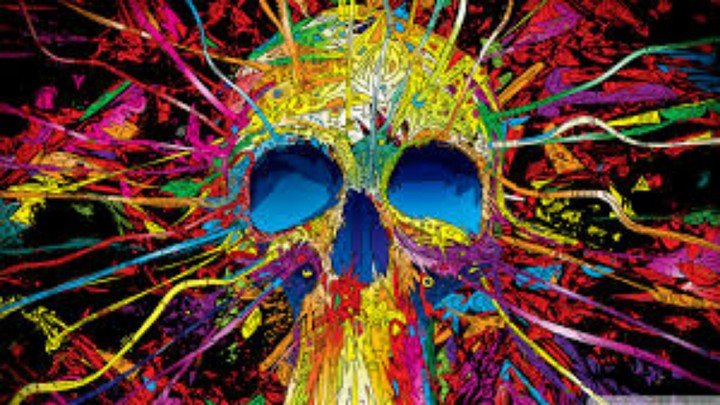 skull