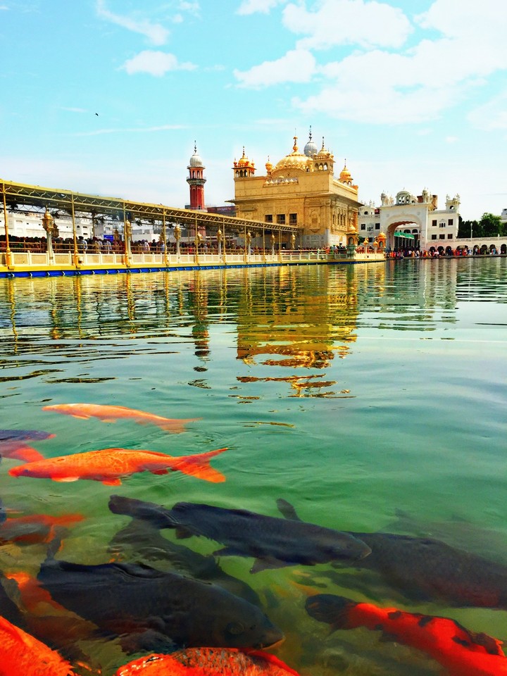 Gurdawara Harmandir Sahib 