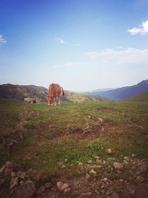 Mountain view