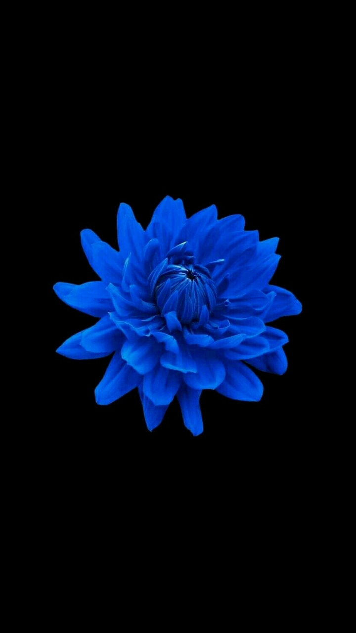 best wallpapers 2018