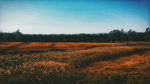 drive to the meander