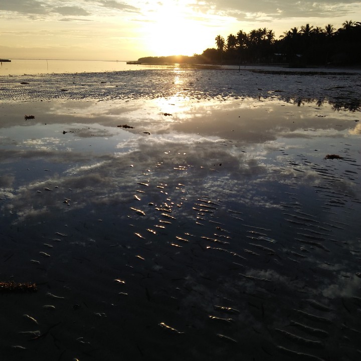reflect